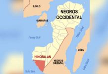 Passenger dies after falling from tricycle in Hinoba-an