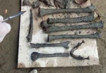 Human skeleton discovered Human skeletal remains were dug up from an excavation site in Barangay Rizal, Lapuz, Iloilo City yesterday. LA PAZ POLICE STATION