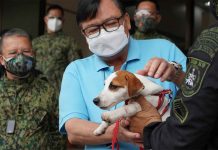 When fully trained, this dog is expected to enhance the operational capability of the Iloilo City Police Office in the maintenance of peace and order, says Mayor Jerry Treñas. PHOTO BY SALVADOR BACINILLO/ILOILO CITY PIO