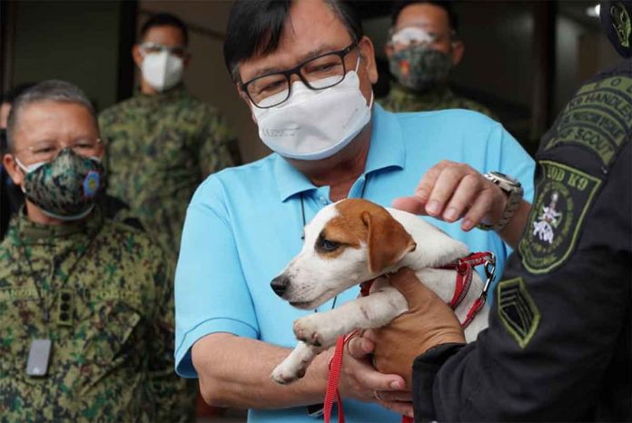 jack-russel When fully trained, this dog is expected to enhance the operational capability of the Iloilo City Police Office in the maintenance of peace and order, says Mayor Jerry Treñas. PHOTO BY SALVADOR BACINILLO/ILOILO CITY PIO