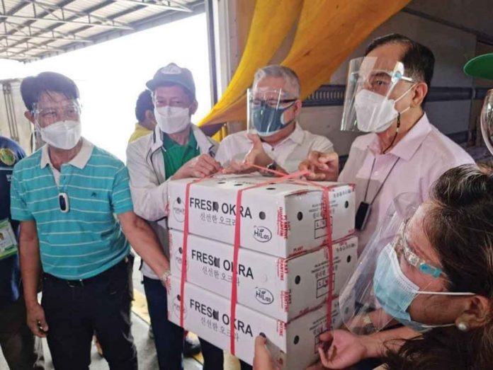 okra-news Agriculture assistant secretary Noel Reyes (from left to right), Philippine Okra Exports and Producers Association chairman Roberto Amores, Trade secretary Ramon Lopez, and Agriculture secretary William Dar hold boxes of Philippine okra about to be shipped to South Korea. PAL