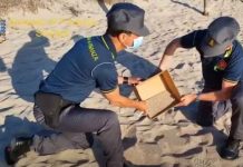 Sardinia beach sand, shell ‘thieves’ fined v