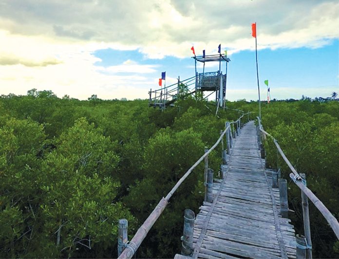 In Leganes, Iloilo, AC Energy will help construct a boardwalk at the Katunggan Ecopark mangrove forest.