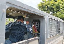 BJMP: Saw smuggled inside NODJ via food, clothing deliveries Jail escapee Daniel Tamon sits inside a Bureau of Jail Management and Penology vehicle shortly after his recapture on June 30 at Hacienda Velez in Barangay Blumentritt, Murcia, Negros Occidental. DOMINIQUE GABRIEL BAÑAGA/PN
