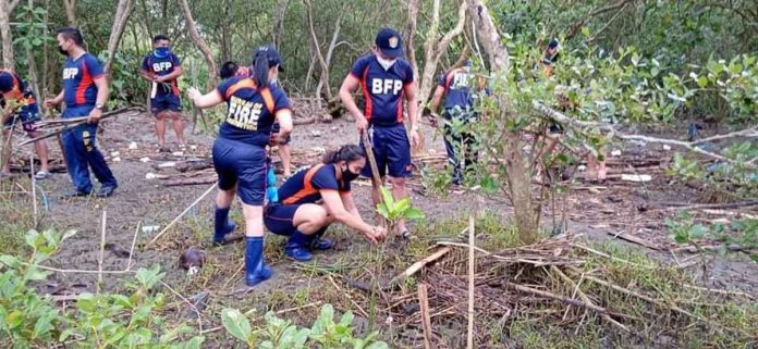bfp-6-community-service-day Personnel of the Bureau of Fire Protection in Region 6 planted mangroves along the coastline of Barangay Hinactacan, La Paz, Iloilo City on July 8, 2021. In the morning they cleaned the coast of Barangay Santo Niño Sur, Arevalo, Iloilo City and set up a community pantry in Barangay Muelle Loney. They rendered community service after violating a prohibited mass gathering last month. PHOTOS BY BFP-6 AND ILOILO CITY COMPLIANCE TEAM