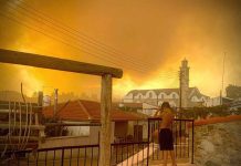 Four dead as Cyprus forest fire rages Smoke from a forest fire is seen in Ora village, Larnaca, Cyprus, on July 3, 2021. At least 10 communities in the Troodos mountain range were affected by the blaze. ANDREA ANASTASIOU/VIA REUTERS