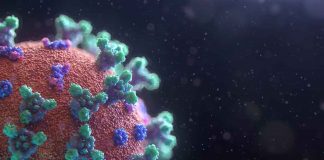 Fusion Medical Animation