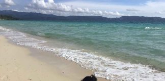 The World Travel and Tourism Council assures international tourists that Boracay Island in Malay, Aklan is safe. Boracay has reopened but only to domestic tourists for the time being due to the coronavirus disease.
