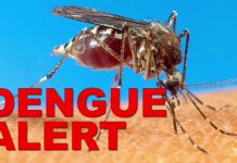 Anini-y folks alerted on possible dengue surge