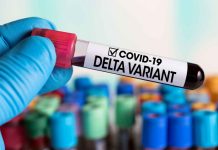 The Delta variant of the virus causing COVID-19 is believed to be the most transmissible variant. According to health experts, it may also be able to partially evade the antibodies made by the immune system after a coronavirus infection or vaccination.