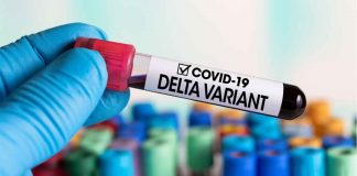 The Delta variant of the virus causing COVID-19 is believed to be the most transmissible variant. According to health experts, it may also be able to partially evade the antibodies made by the immune system after a coronavirus infection or vaccination.