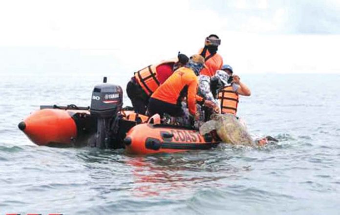 turtle Philippine Coast Guard personnel release a green sea turtle back to the sea. PHOTO FROM CAPIZ KABALAKA INFORMATION CENTER