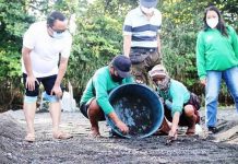Mayor Elmer Untaran of San Jose, Antique leads the release of 70 baby turtles in the coastal barangay of Funda Dalipe on Aug. 28.