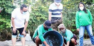 Mayor Elmer Untaran of San Jose, Antique leads the release of 70 baby turtles in the coastal barangay of Funda Dalipe on Aug. 28.