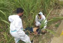 A senior citizen died after he was hit by a wayward truck tire along the national highway in Barangay Cabahug, Cadiz City, Negros Occidental on Tuesday morning. CADIZ CPS/NOCCPO