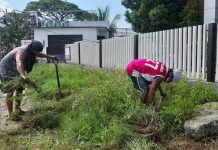 To combat dengue, the city government is urging residents of Iloilo City to implement the 4S strategy: search and destroy breeding places; self-protection measures; seek early consultation; and say “yes” to fogging only during outbreaks. Photo shows residents clearing the front portion of a property in Mandurriao, Iloilo City. PANAY NEWS PHOTO