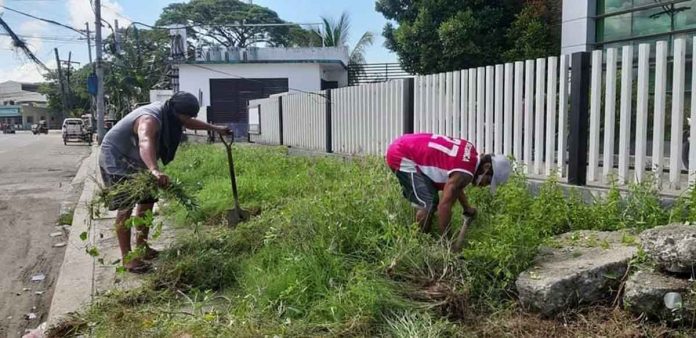 To combat dengue, the city government is urging residents of Iloilo City to implement the 4S strategy: search and destroy breeding places; self-protection measures; seek early consultation; and say “yes” to fogging only during outbreaks. Photo shows residents clearing the front portion of a property in Mandurriao, Iloilo City. PANAY NEWS PHOTO