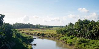 The Jalaur River is a source of irrigation, water supply for domestic use in Iloilo City and its adjacent municipalities, and generates up to 6.6 megawatts electric power supply. DENR