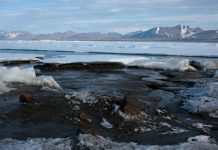 Expedition discovers island believed world’s northernmost a view of the newly discovered Island, off the coast of Greenland. Morten Rasch via AP
