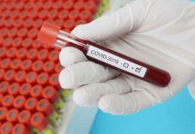 A test tube containing a blood sample from a COVID-positive patient. STOCK PHOTO