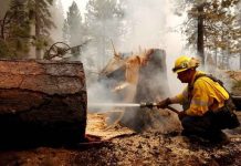 Firefighters tackle ‘historic’ California wildfire The Dixie Fire has burned through more than 463,000 acres since it started on July 13. REUTERS