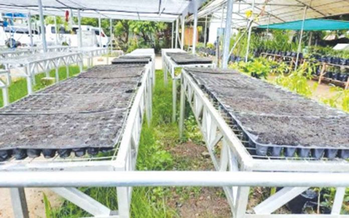 Biz-2-banner Varieties of plants and vegetables are propagated at the Iloilo City Uswag Plant Nursery in Barangay Tacas, Jaro district. The Iloilo City Schools Division Office of the Department of Education is looking forward to partner with the local government to allow the use of the nursery as a laboratory for the Tiu Cho Teg-Ana Ros Foundation Integrated Farm School. IÑIGO GARINGALAO