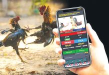 Online gambling, particularly e-sabong, has boomed as a result of the COVID-19 lockdowns and quarantine restrictions. The Philippine Amusement and Gaming Corporation earns P400 million per month from online cockfighting. NOYPIGEEKS