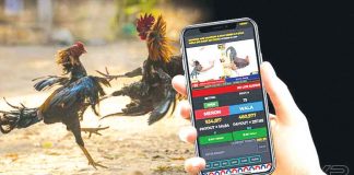 Online gambling, particularly e-sabong, has boomed as a result of the COVID-19 lockdowns and quarantine restrictions. The Philippine Amusement and Gaming Corporation earns P400 million per month from online cockfighting. NOYPIGEEKS