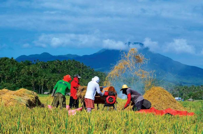biz-2 The Department of Agriculture is unable to buy palay or unmilled rice from local farmers due to budget constraints. “Wala po kaming mandato na bibili ng palay. Hindi ho namin kaya. Malaki ‘yung budget,” DA secretary William Dar says. DA