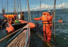 Whale shark found in Bacolod likely hunting for food Divers conduct an underwater search. CGS NEGROS OCCIDENTAL
