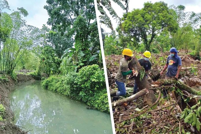 canal As part of flood management efforts, the current canal in New Barrio, Canetown, Victorias City has been widened and deepened. On the right, VMC workers conduct clearing operation in preparation for widening and deepening of the canal.