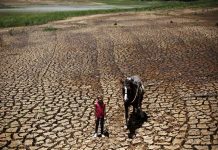 Drought may force Brazil to ration power, says VP A child poses with her horse on the cracked ground of Atibainha dam, part of the Cantareira reservoir, in Nazare Paulista, near Sao Paulo, Brazil. REUTERS