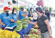 Capiz posts lowest inflation rate in WV in May A customer scans the vegetables on display at the KADIWA ni Ani at Kita market outlet in Roxas City, Capiz. As inflation accelerates to 4.9 percent in the country, prices of basic goods increased swiftly in August, with food and household commodity expenses leading the way. According to the Philippine Statistics Authority, meat prices climbed by 16.4%, fish prices increased by 12.4%, and vegetable prices hiked by 15.7%. DA-6