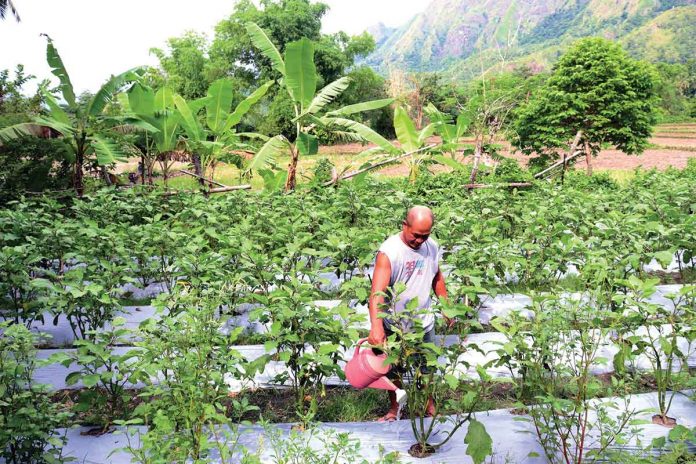 livelihood Farmers, small vendors, women, fisherfolk, animal raisers, and seasonal workers with an insufficient and unstable source of income were the majority of those who received livelihood assistance from DOLE. DA-SAAD