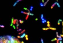 City to give P3-M boost to WVSU-MC genome lab Photo courtesy of National Cancer Institute/Unplash
