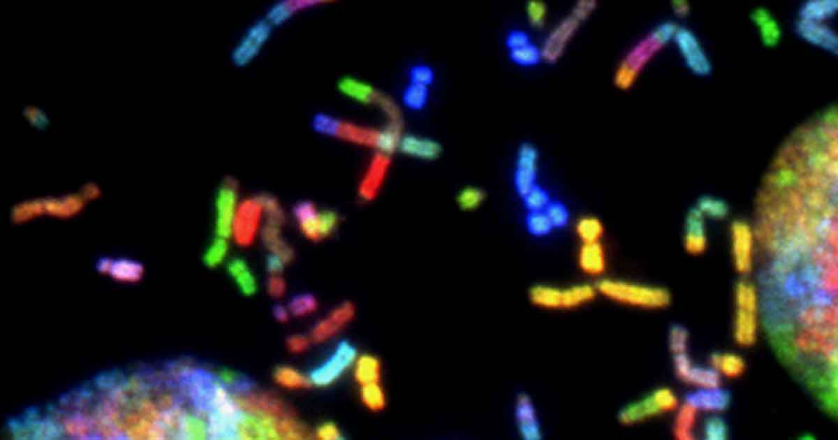 City To Give P3 M Boost To WVSU MC Genome Lab