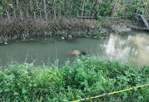Dead man floating PANAY NEWS PHOTO