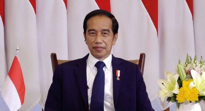 Widodo Widodo