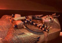 Newly discovered Egyptian coffin displayed in Dubai Ancient Egyptian priest Psamtik served as king Tutankhamun’s head medic. BBC