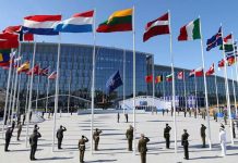Nato expels 8 Russians from mission for spying Nato has halved the size of the Russian contingent at its Brussels headquarters from 20 to 10. REUTERS