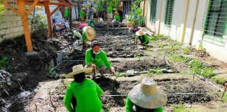 These residents of Barangay Nabitasan, La Paz, Iloilo City benefitted from the Department of Labor and Employment’s Tulong Panghanapbuhay sa Ating Disadvantaged/Displaced Workers program. PHOTO FROM BRGY KGD. JOHN JESNER PERCE PUNSARAN