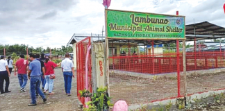 Officials visit Iloilo’s first animal shelter located in Barangay Pandan, Lambunao. JINGLE CANTERO/PROVINCIAL VETERINARY OFFICE