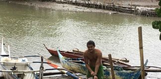 No paralytic shellfish poison beyond the regulatory limit have been found in shellfish harvested in the coastal waters of Aklan and Capiz, according to the Bureau of Fisheries and Aquatic Resources.