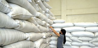 PALAY QUALITY AUDIT. A personnel of the National Food Authority (NFA) in Negros Occidental conducts a quality audit on the newly-procured palay. This aims to ensure conformity to the set NFA palay quality standards. NFA NEGOCC