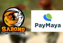 Sabong International enhances gaming experience with PayMaya partnership