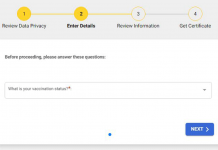 This will appear when you visit vaxcert.doh.gov.ph.