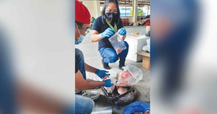 asf These were the pork and pork products from African swine fever (ASF)-affected areas, particularly in the National Capitol Region, confiscated by the Provincial Veterinary Office inspection team between November and December this year. Western Visayas remains ASF-free. PVO PHOTOS