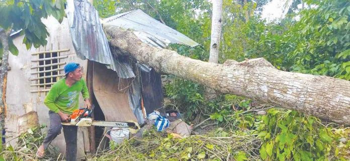 guimaras-odette A fallen tree crushes this house in Buenavista, Guimaras. Strong winds from super typhoon “Odette” started whipping Guimaras around 10 p.m. on Dec. 16 and further escalated by 2 a.m. of Dec. 17. This went on for some six hours, the reason why many trees fell. PHOTO BY BUENAVISTA LGU