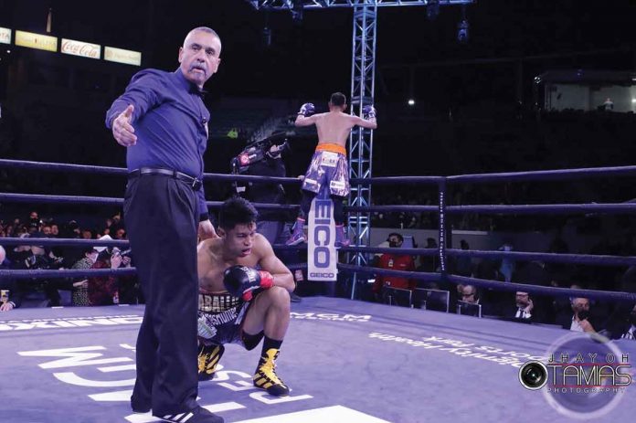 sports-donaire Filipino boxer Reymart Gaballo fails to get up after being floored by Nonito Donaire Jr., who is celebrating while on top of the ring. PHOTO COURTESY OF JHAY OH OTAMIAS