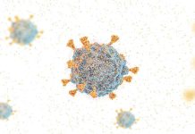 Omicron surge dark reminder of India’s harrowing virus wave CIPhotos via Getty Images